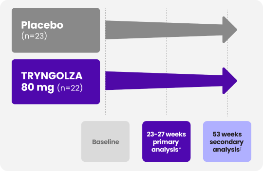 1 Year Trial Design Placebo vs TRYNGOLZA (olezarsen) 80mg & TRYNGOLZA (olezarsen) 50mg