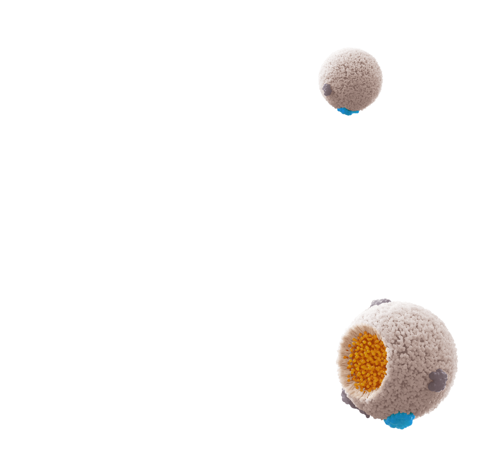 Chylomicrons