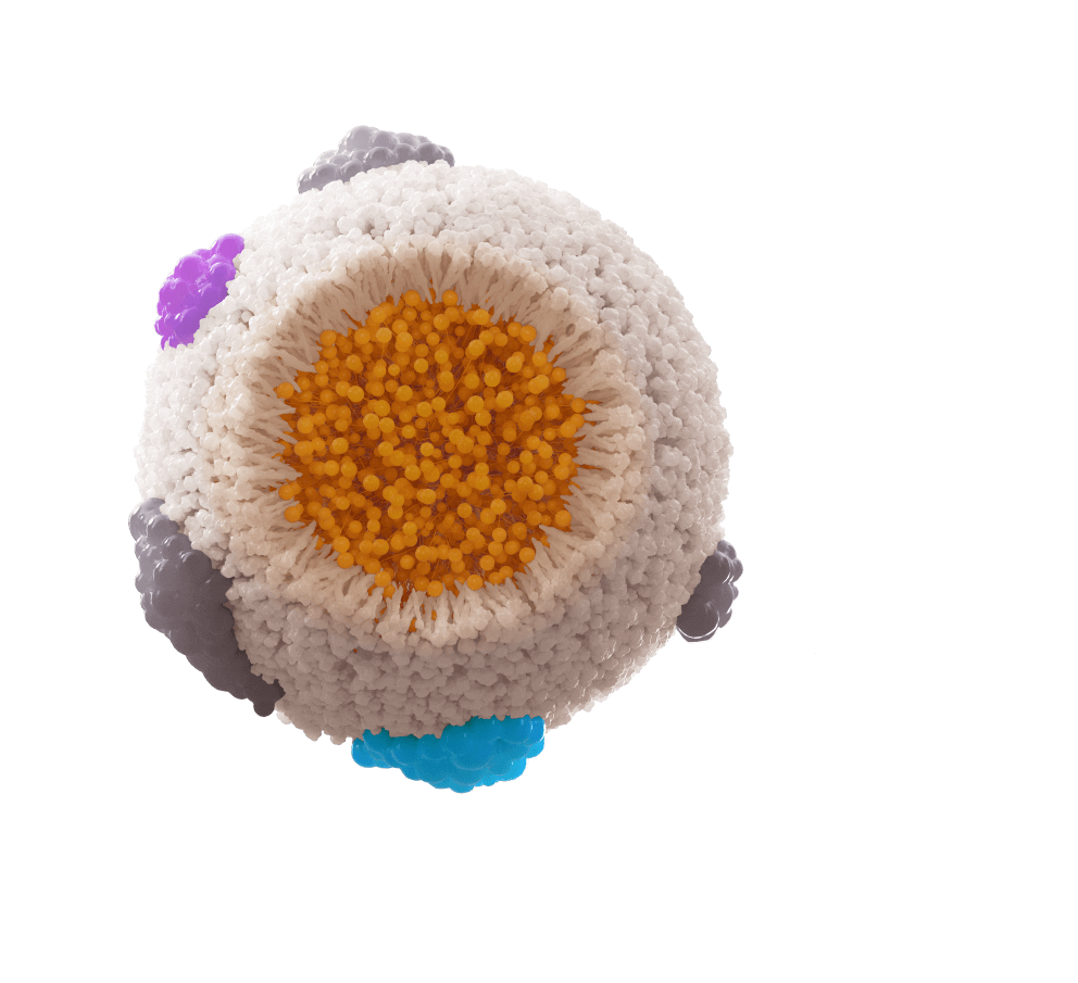 Chylomicrons