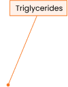 DNA Structure