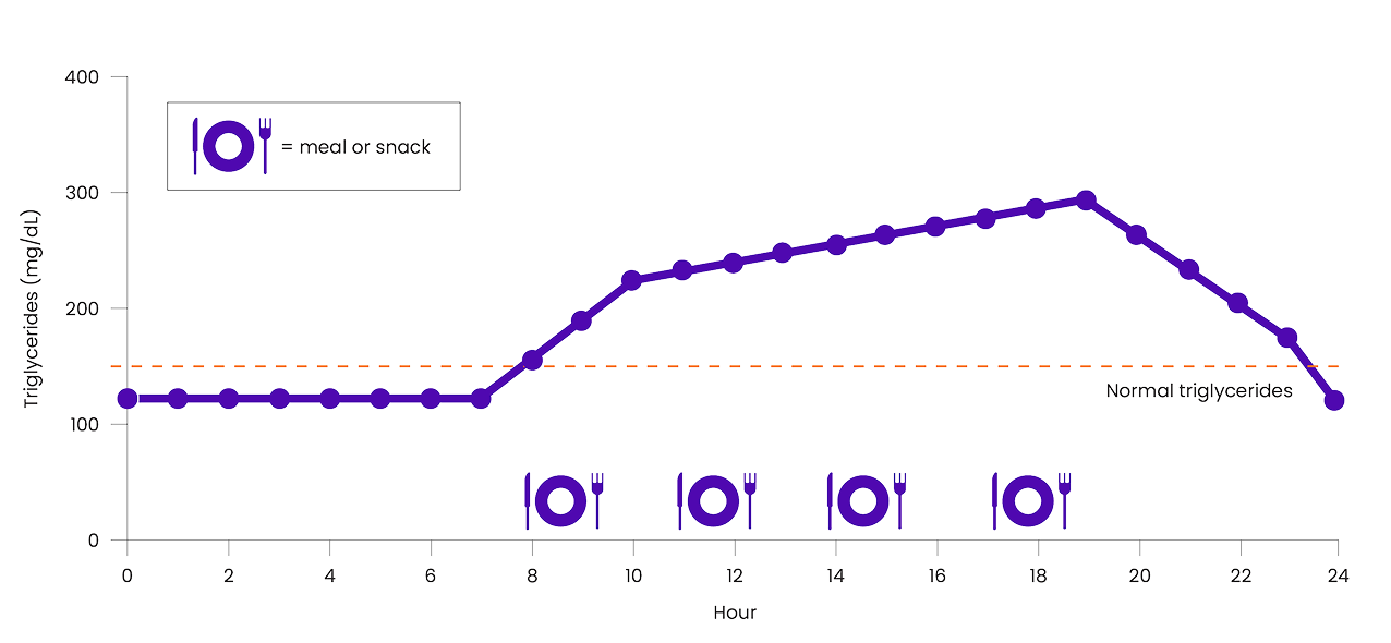 Chart showing estimated triglycerides kinetics for average US male with normal triglycerides following typical Western dietary pattern