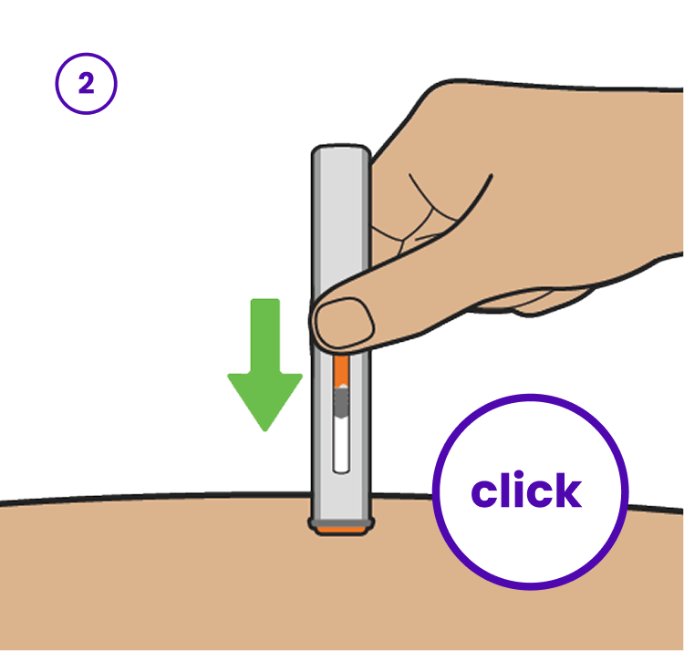 Illustration depicting the three easy steps for injecting TRYNGOLZA. The text reads: '1. Place: Remove the clear cap and place the orange needle shield at a 90-degree angle against the skin. Make sure you can see the viewing window; 2. Push: Push firmly against the skin. You may or may not hear 2 clicks. This is normal. The procedure is not finished; 3. Hold: Hold the autoinjector against the skin and continue pressing down for 10 seconds.'