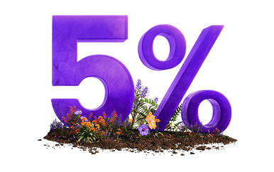 5%